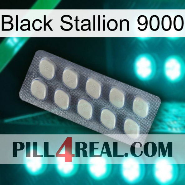 Black Stallion 9000 08.jpg